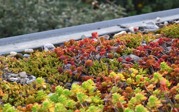 the cost of Kearsney green roof installation