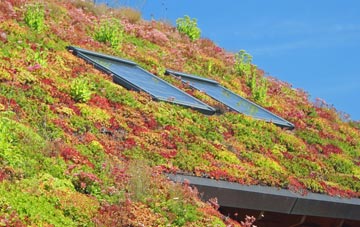 Kearsney living roof systems